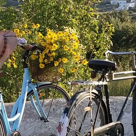 Alpstuga Donquihotel