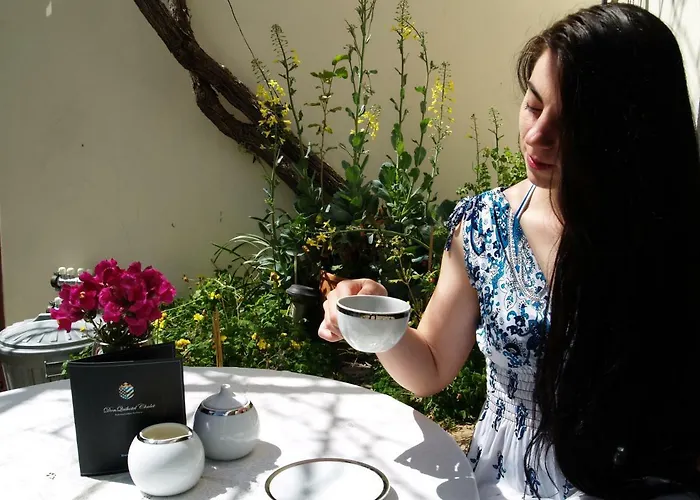 Chalé Donquihotel Karvounades